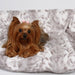 SOFT PLATINUM SNOW LEOPARD DOG BLANKET