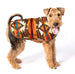 BROWN SOUTHWEST DOG BLANKET COAT