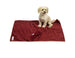 SPA TOMATO DOG BLANKET AND BONE TOY SET