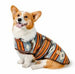 DENIM SUNSET BLANKET DOG COAT