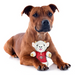SAN FRANCISCO 49ers GOAT FLASH DOG TOY