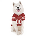 SAN FRANCISCO 49ERS PET STRIPED  DOG JERSEY