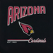 ARIZONA CARDINALS BOLD CITY TEXT DOG TEE SHIRT