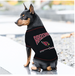 ARIZONA CARDINALS BOLD CITY TEXT DOG TEE SHIRT