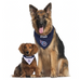 TENNESSEE TITANS REVERSIBLE DOG BANDANA