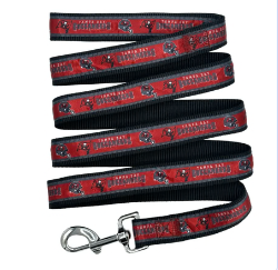 TAMPA BAY BUCCANEERS SATIN DOG LEASH
