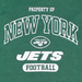NEW YORK JETS STRIPE TEXT DOG TEE SHIRT