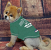NEW YORK JETS STRIPE TEXT DOG TEE SHIRT