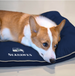 SEATTLE SEAHAWKS PILLOW BED