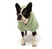 SEAFOAM SHERPA DOG HOODIE