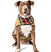 TAN TARTAN PLAID DOG BLANKET COAT