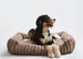 CORDUROY TAUPE LARGE ORTHO DOG LOUNGE BED