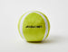 3" TENNIS BALL PLUSH DOG TOY