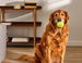 3" TENNIS BALL PLUSH DOG TOY (3-PACK)
