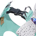 TIFFI’S GIFT STEP IN DOG HARNESS W/ AURORA BOREALIS EMERALD