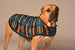 TURQUOISE SOUTHWEST BLANKET DOG COAT
