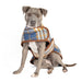 WESTERN PLAID DOG BLANKET COAT