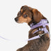 PUPPIA RITEFIT DOG HARNESS