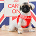 PUPPIA VIVIEN DOG HARNESS B