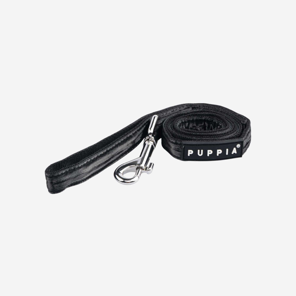 WINTERSTRIDE LEASH