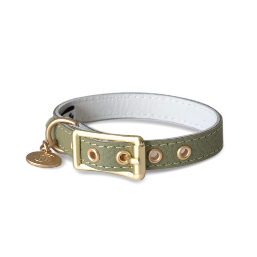 BB COLLAR LEATHER -  SAGE -  LIMITED