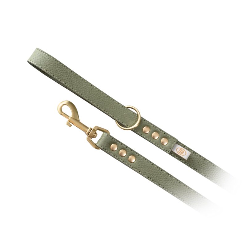 BUDDY BELTS LEATHER LEASHES - LIMITED  - SAGE