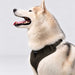 FLEX AIR DOG HARNESS