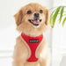 PUPPIA SOFT DOG HARNESS II