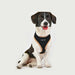PUPPIA SOFT DOG HARNESS II