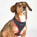 PUPPIA SOFT DOG HARNESS II