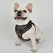 PUPPIA SOFT VEST DOG HARNESS PRO