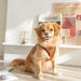 PUPPIA SOFT VEST DOG HARNESS PRO