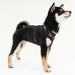 PUPPIA SUPERIOR DOG HARNESS A