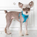 PUPPIA SUPERIOR DOG HARNESS A