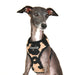PUPPIA SERVAL DOG HARNESS A