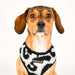 PUPPIA SERVAL DOG HARNESS A