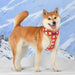 PUPPIA STEFAN DOG HARNESS A