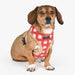 PUPPIA STEFAN DOG HARNESS A