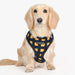 PUPPIA STEFAN DOG HARNESS A