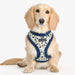 PUPPIA HUXLEY DOG HARNESS A