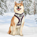 PUPPIA HUXLEY DOG HARNESS A