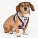PUPPIA HUXLEY DOG HARNESS A