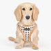 PUPPIA JACE DOG HARNESS A
