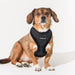 PUPPIA DOUGLAS DOG HARNESS A