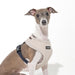 PUPPIA IRVIN DOG HARNESS A