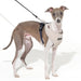 PUPPIA IRVIN DOG HARNESS A