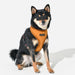 PUPPIA IRVIN DOG HARNESS A