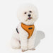 PUPPIA IRVIN DOG HARNESS A