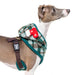 PUPPIA FESTIVE DOG HARNESS A