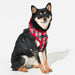 PUPPIA FESTIVE DOG HARNESS A